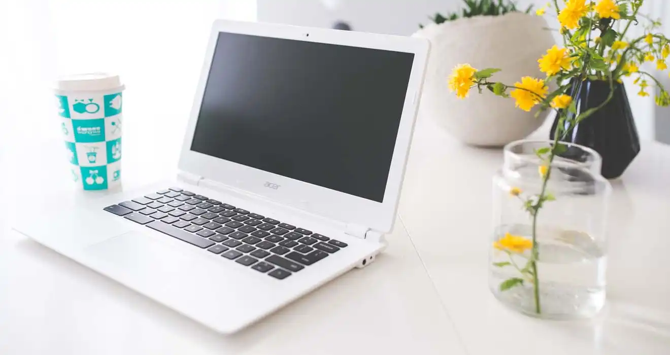 Ремонт ноутбуков Acer в Зеленогорске