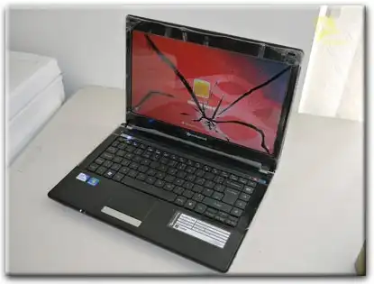 Замена матрицы Packard Bell в Зеленогорске